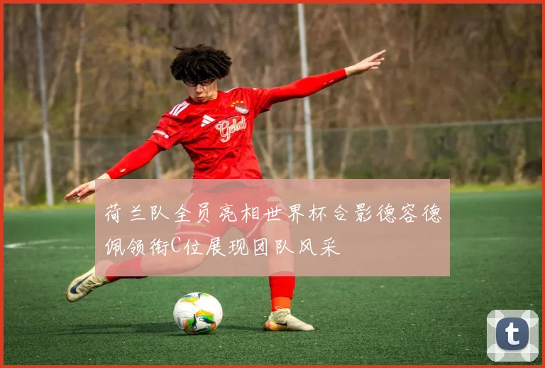 荷兰队全员亮相世界杯合影德容德佩领衔C位展现团队风采